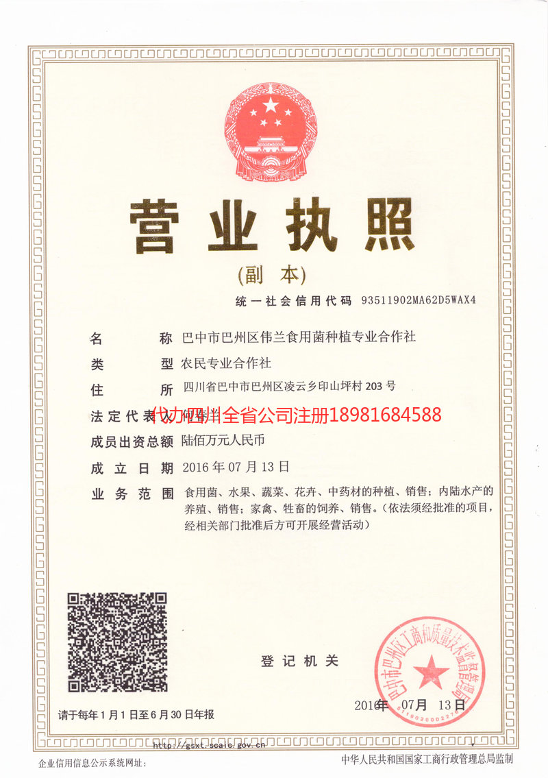 荥阳荥阳伟兰食用菌种植专业合作社